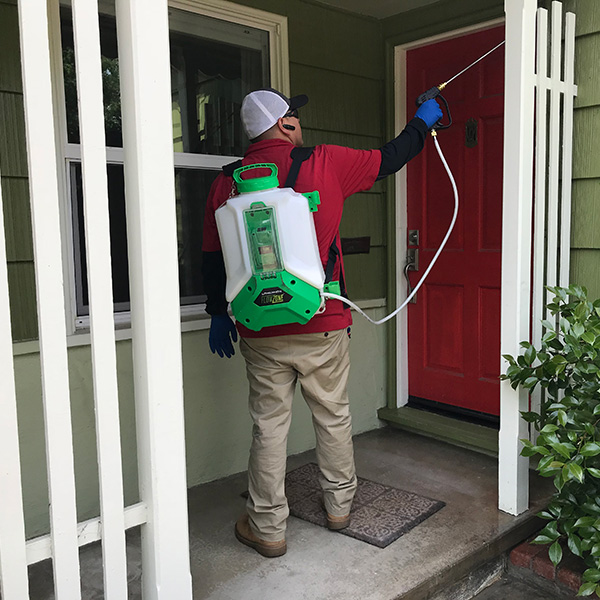 A pest control worker spraying the outside of a home