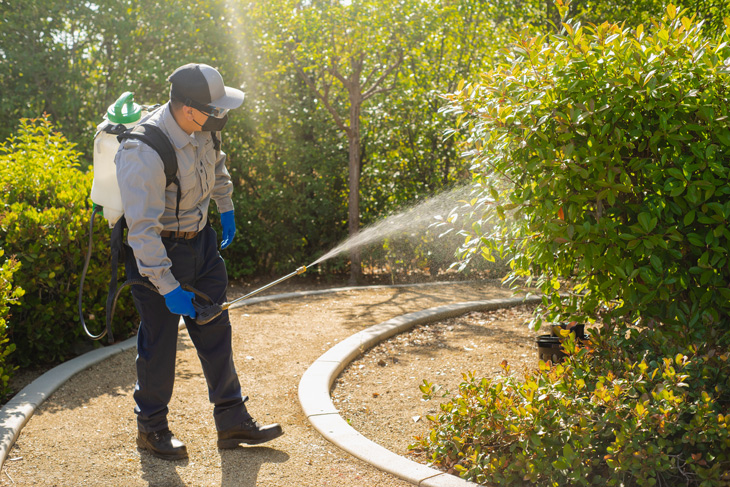 Twin Termite worker spraying down bushes