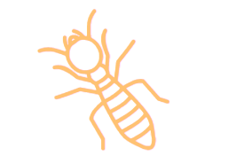 Termite-Inspections-Twin-Termite-06-25-2025_12_09_PM